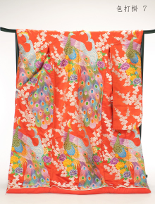 色打掛 7 朱色に孔雀