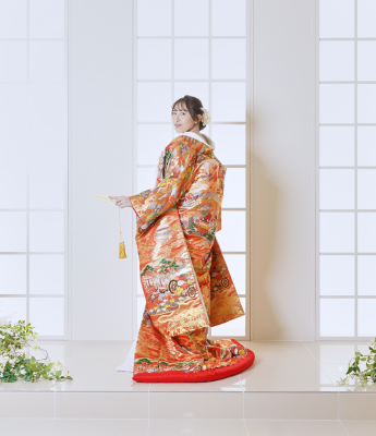 白いスタジオでの色打掛姿